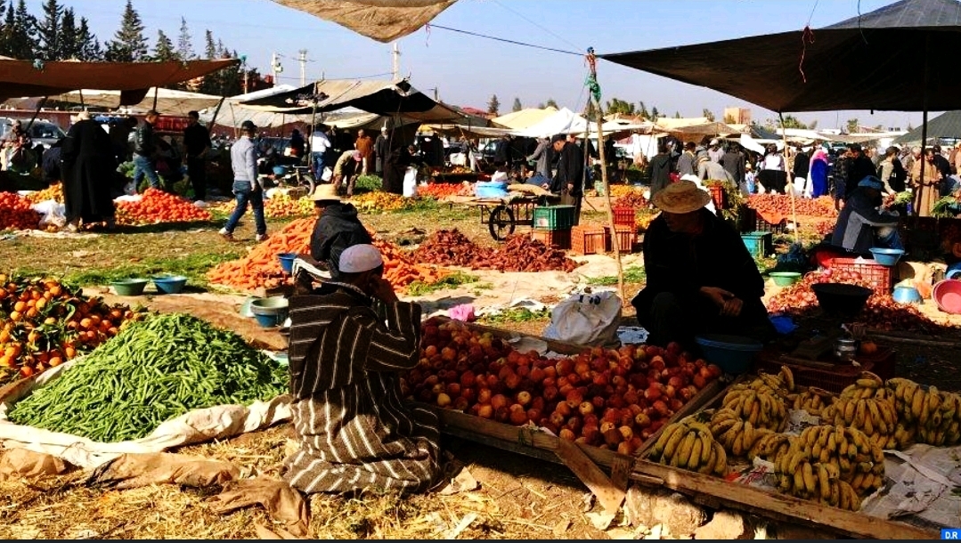 لهذا السبب أصبحت الخضروات أرخص فجأة في المغرب