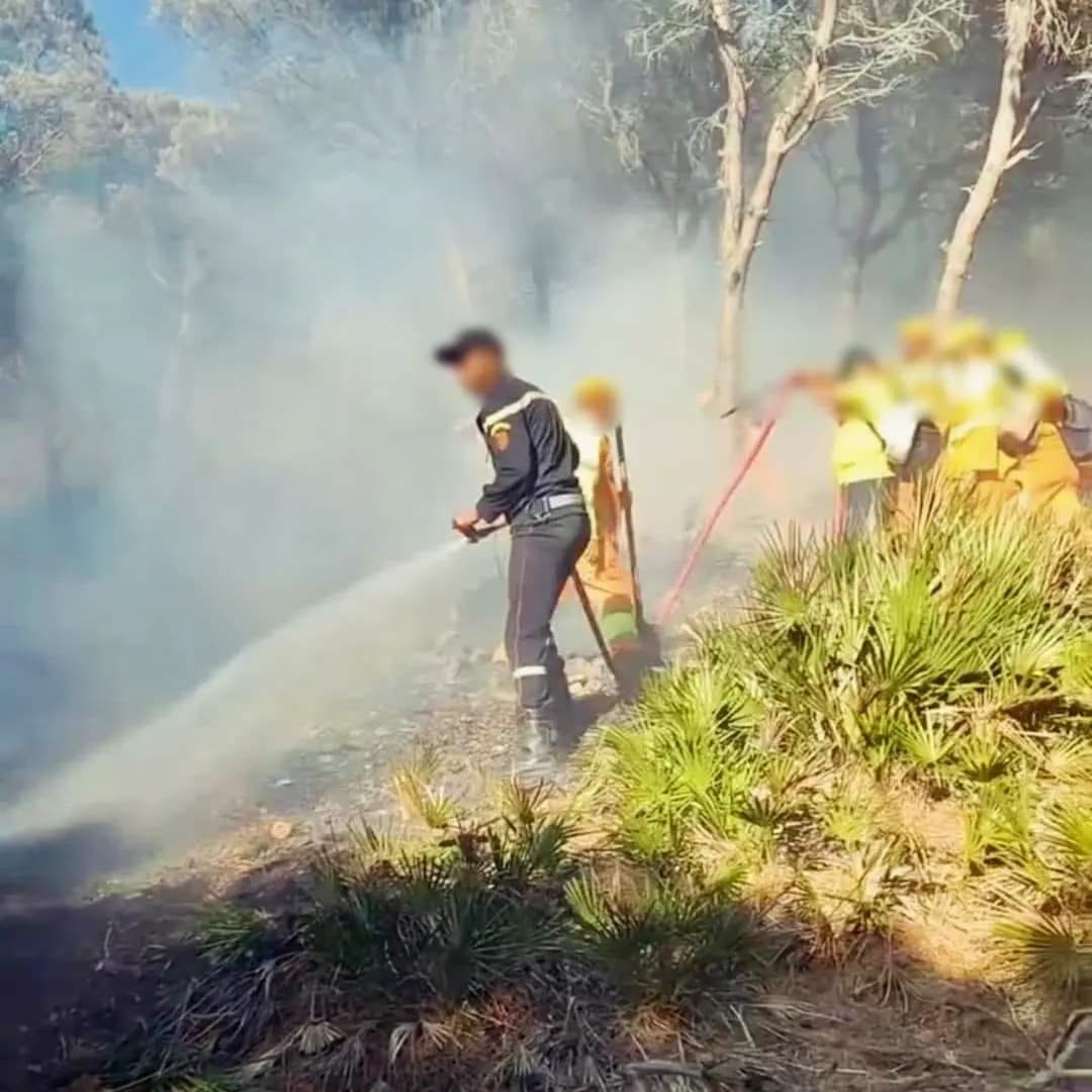 اندلاع حريق مهول بغابة "جبل درسة" القريبة من مدينة تطوان(صور)